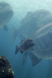 Mega-Piranha