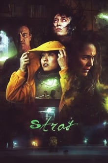 Poster do filme Stray