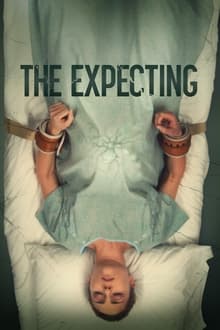Poster da série The Expecting