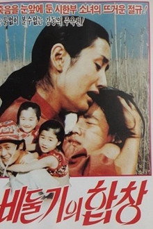 비둘기의 합창