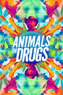 Animals on Drugs
