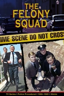 The Felony Squad tv show poster