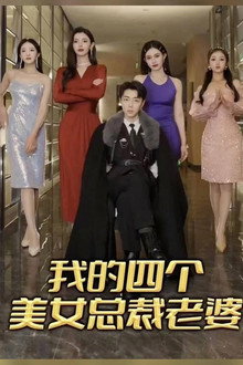 我的四个美女总裁老婆