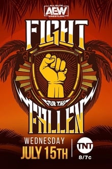 Poster do filme AEW Fight for the Fallen