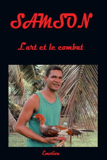 Samson art and combat