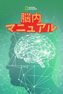 Blow Your Mind