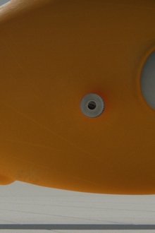 Rango