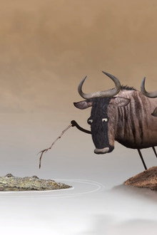 Wildebeest