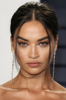 Photo of Shanina Shaik