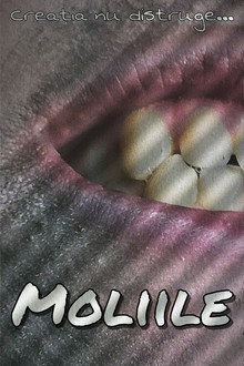 Moliile