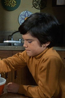 The Courtship of Eddie's Father - Season 2