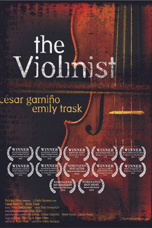 The Violinist