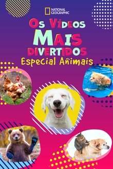 Imagem Os Vídeos Mais Divertidos: Especial Animais 2021