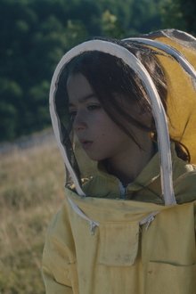 20,000-Species-of-Bees