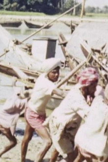 Boat Repairs - Sunderbans