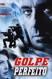 Poster do filme Golpe Perfeito