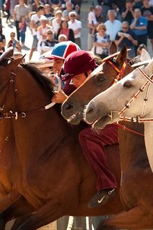 Palio