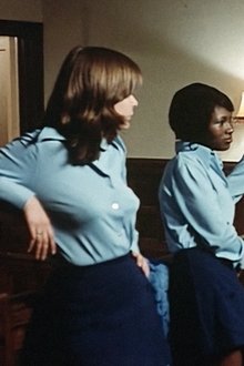 The-Black-Alley-Cats