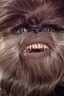 The Star Wars Holiday Special