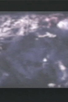 Mountain Devil