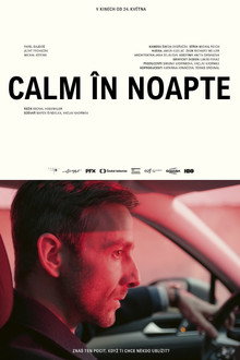 Calm în noapte