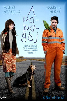 A papagáj