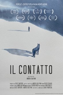 Il Contatto