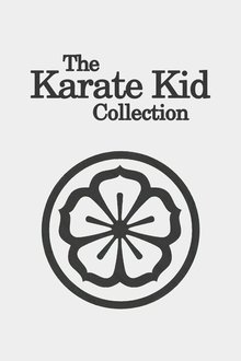 Colecția Karate Kid