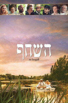 השחף