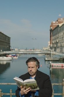 Kino-Volta