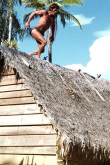 Tarzán en la gruta del oro