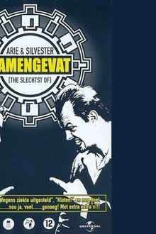 Arie & Silvester: Samengevat