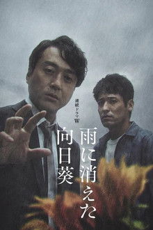 The Sunflower Disappeared in the Rain