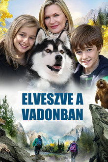 Elveszve A Vadonban