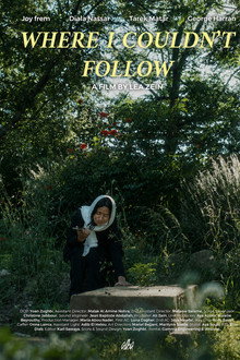 Where I Couldn't Follow