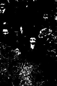 Congregación