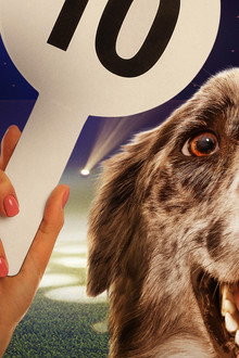 The Secret Life of Dancing Dogs