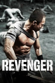 Poster do filme Revenger