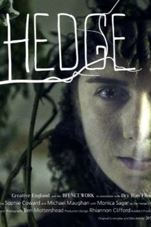 Hedge