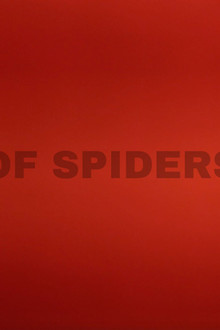 Of Spiders