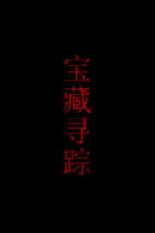 宝藏寻踪