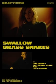 Poster do filme Swallow Grass Snakes