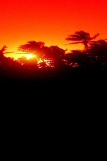 The Making of 'Jurassic Park'