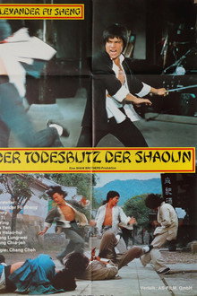 Der Todesblitz der Shaolin