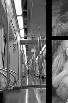 Biological Loneliness