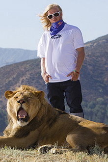 Like A Lion