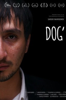Dog'