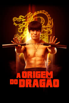 Poster do filme A Origem do Dragão
