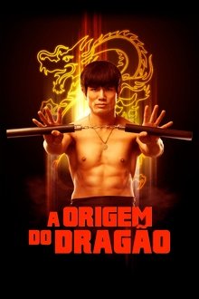 Poster do filme A Origem do Dragão