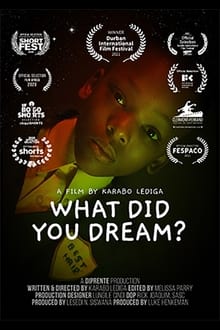 Poster do filme What Did You Dream?